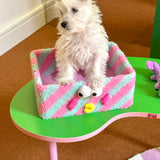 Clownfish Storage Box