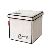 Foldable Storage Ottoman Cube