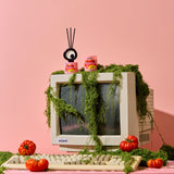 BIG EYE Scented Candle & Fragrance Diffuser - Mood  (Tomato Leaves)